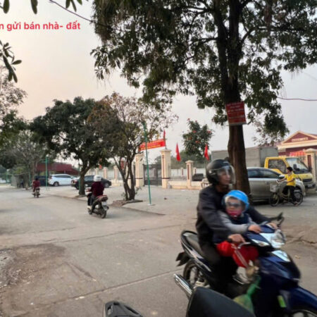 Bán đất mặt chợ Chi Đông, Mê Linh, HN. Vị trí đắc địa, cực hiếm, kinh doanh gì cũng được.