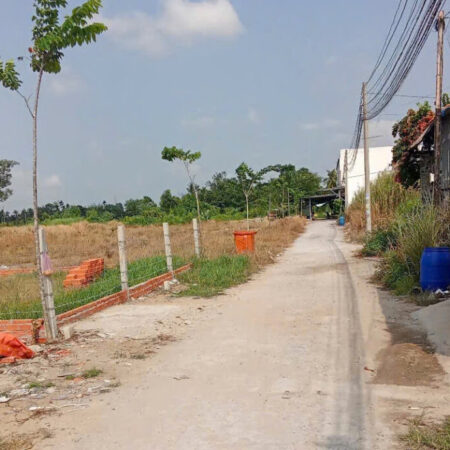 BÁN LÔ ĐẤT ĐỐI DIỆN ĐẠI HỌC TÂN TẠO – SÁT KCN TÂN ĐỨC, ĐỨC HÒA BÁN LÔ ĐẤT ĐỐI DIỆN ĐẠI HỌC TÂN TẠO – SÁT KCN TÂN ĐỨC, ĐỨC HÒA