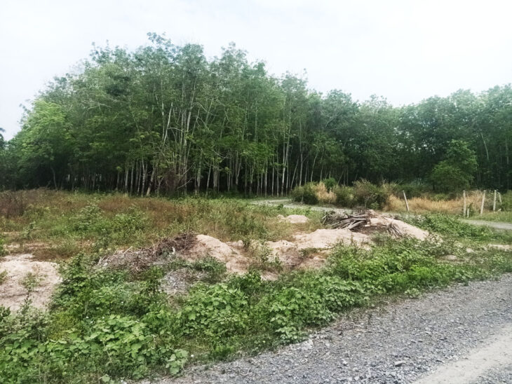 Bán đất 1/ đường Bùi Thị Điệt – 1000m2 – 20×50 – 160m2 thổ cư – xã Nhuận Đức – Củ Chi