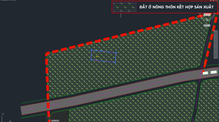 Bán đất 1/ đường Bùi Thị Điệt – 1000m2 – 20×50 – 160m2 thổ cư – xã Nhuận Đức – Củ Chi