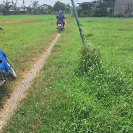 Bán thửa đất đường xe hơi tại Trung Tâm Đức Hoà Long An 1ty430