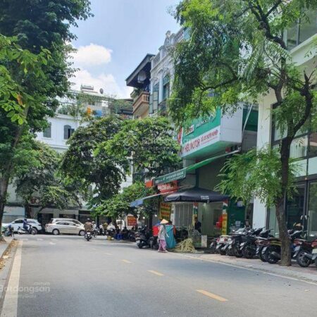 Siêu phẩm mặt phố Trần Quang Diệu 6 tầng thang máy dòng tiền khủng chỉ 23 tỷ!