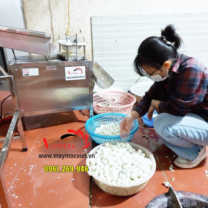 Máy bóc vỏ trứng chim cút 1 rãnh năng suất 50kg/h Vinmax TC-50