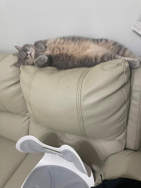 Nhà Hot! Phân khúc 5 tỷ, Căn nhà đẹp nhất Đống Đa, Thanh Xuân, 27m2, 4 tầng, không thể đẹp hơn!