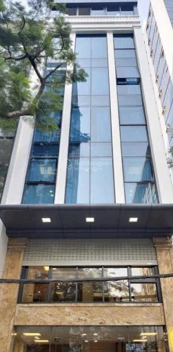 Phố Đội Cấn 50m2 mặt tiền 4.76m lô góc ô tô kinh doanh nhỉnh 16 tỷ hiếm quận Ba Đình