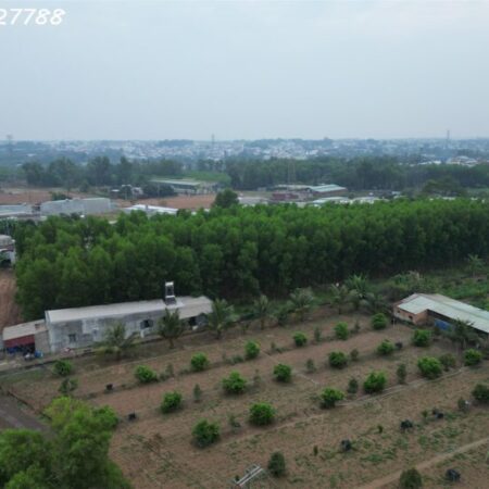 Bán đất 1000 m² tặng nhà 600 triệu tại xã Bình Minh gần ngay QL1A giá chỉ hơn 2 tỷ