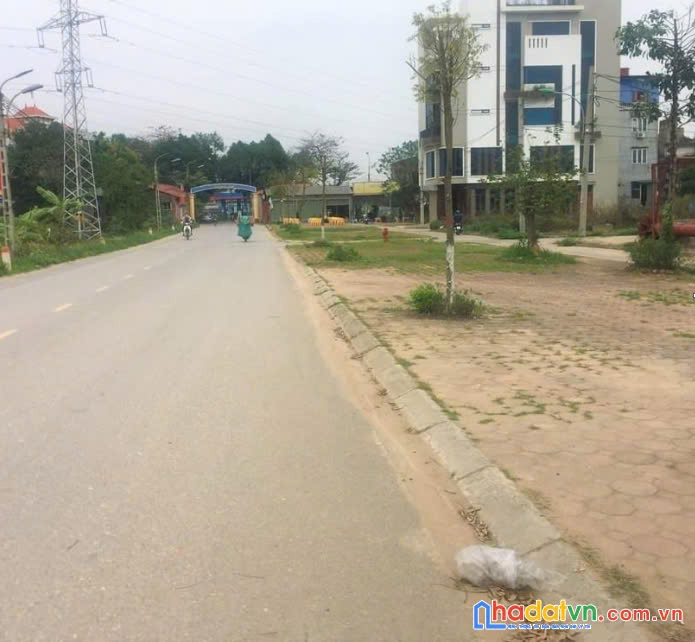 Bán gấp lô đấu giá x1 mai hiên mai lâm