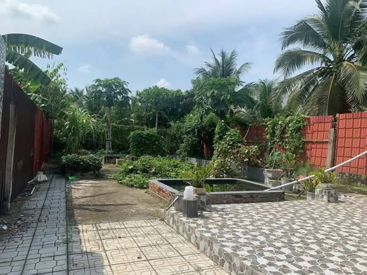 BÁN NHÀ ĐẤT ĐẸP – DIỆN TÍCH RỘNG – SỔ HỒNG CHÍNH CHỦ – Đường 173, Xã Tam Phước, Châu Thành, Bến Tre