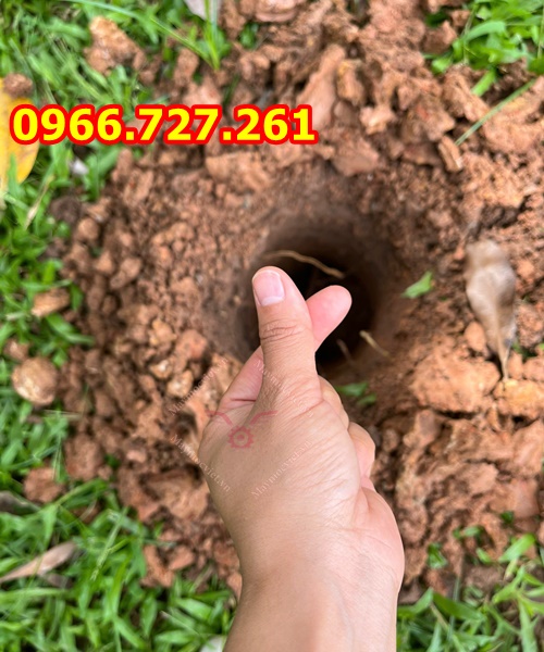 Máy khoan đào hố đất trồng cây có bánh xe đẩy tay động cơ 2 thì