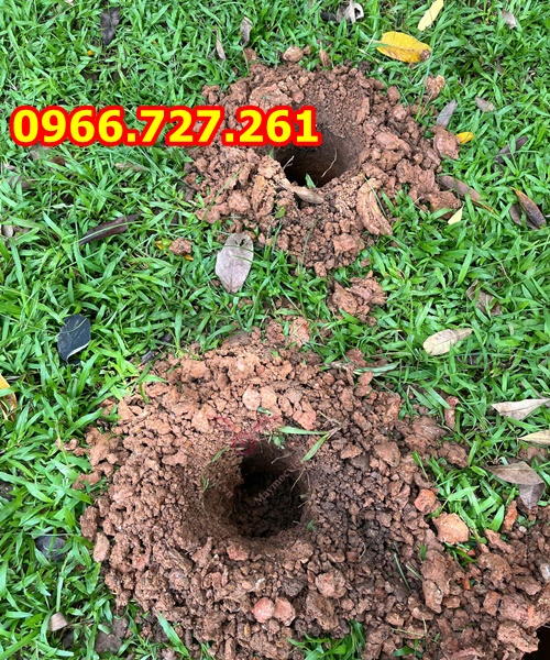Máy khoan đào hố đất trồng cây có bánh xe đẩy tay động cơ 2 thì