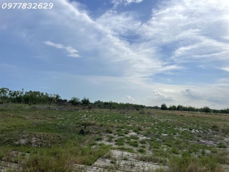 Bán đất 1 Hecta đất ONT Tân Bình – TX LaGi khu rừng vàng gần Biển