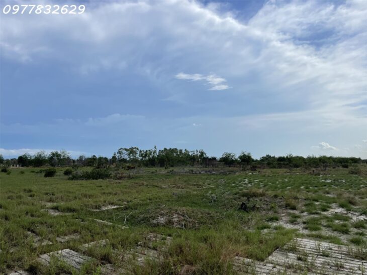 Bán đất 1 Hecta đất ONT Tân Bình – TX LaGi khu rừng vàng gần Biển