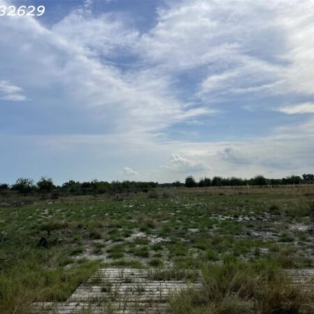 Bán đất 1 Hecta đất ONT Tân Bình – TX LaGi khu rừng vàng gần Biển Bán đất 1 Hecta đất ONT Tân Bình – TX LaGi khu rừng vàng gần Biển