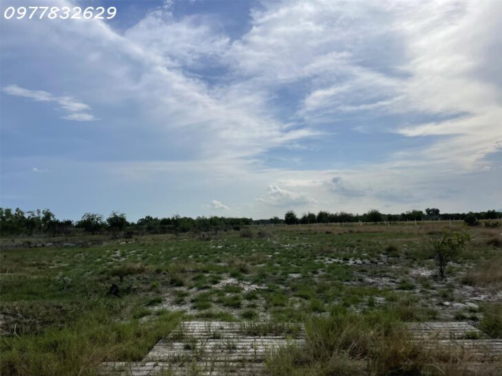 Bán đất 1 Hecta đất ONT Tân Bình – TX LaGi khu rừng vàng gần Biển