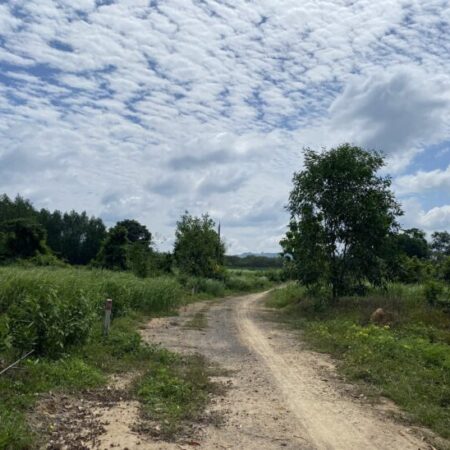 NGỘP BANK! Bán 1000m2 đất Gần 761, xã Thanh Sơn, Định Quán chỉ 650 triệu sổ hồng riêng