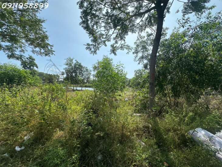 Bán đất thổ cư mặt tiền Lê Minh Công, Phước Lộc, thị xã LaGi giá siêu rẻ chỉ 2 tỷ