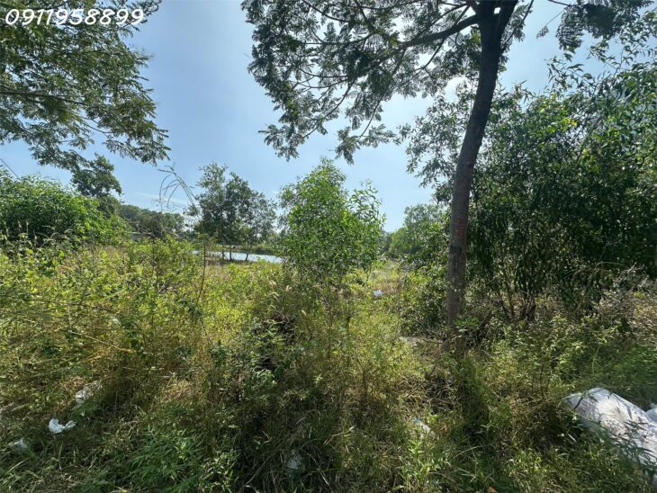 Bán đất thổ cư mặt tiền Lê Minh Công, Phước Lộc, thị xã LaGi giá siêu rẻ chỉ 2 tỷ