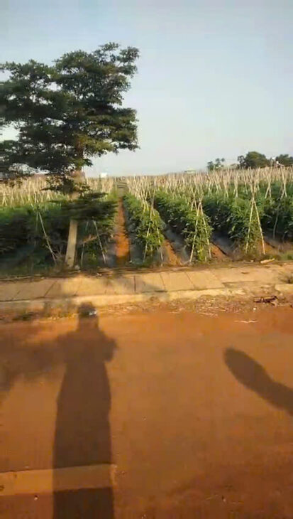 CHỈ 1 TỶ 350 TRIỆU BÁN NGAY 135,9M2 ĐẤT THỊ TRẤN LIÊN NGHĨA ĐỨC TRỌNG LÂM ĐỒNG