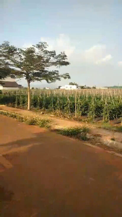 CHỈ 1 TỶ 350 TRIỆU BÁN NGAY 135,9M2 ĐẤT THỊ TRẤN LIÊN NGHĨA ĐỨC TRỌNG LÂM ĐỒNG