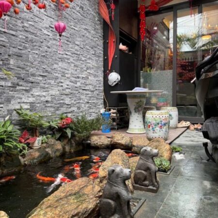 Siêu phẩm nhà PHÚC ĐỒNG NGUYỄN VĂN LINH 6 tầng bể cá koi thang máy full nộit thất cao cấp Siêu phẩm nhà PHÚC ĐỒNG NGUYỄN VĂN LINH 6 tầng bể cá koi thang máy full nộit thất cao cấp