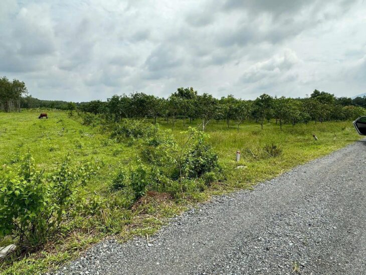Bán lô đất Thành Phố Tây Ninh view núi Bà Đen