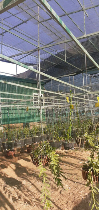 NHÀ MÁY SẢN XUẤT LƯỚI CHE NẮNG DỆT KIM – TÌM ĐẠI LÝ PHÂN PHỐI TOÀN QUỐC