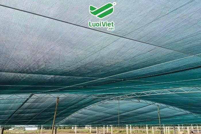 NHÀ MÁY SẢN XUẤT LƯỚI CHE NẮNG DỆT KIM – TÌM ĐẠI LÝ PHÂN PHỐI TOÀN QUỐC