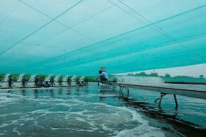 NHÀ MÁY SẢN XUẤT LƯỚI CHE NẮNG DỆT KIM – TÌM ĐẠI LÝ PHÂN PHỐI TOÀN QUỐC