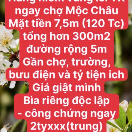ĐẤT VÀNG NGHỈ DƯỠNG RỘNG RẺ MỘC CHÂU ĐẤT VÀNG NGHỈ DƯỠNG RỘNG RẺ MỘC CHÂU