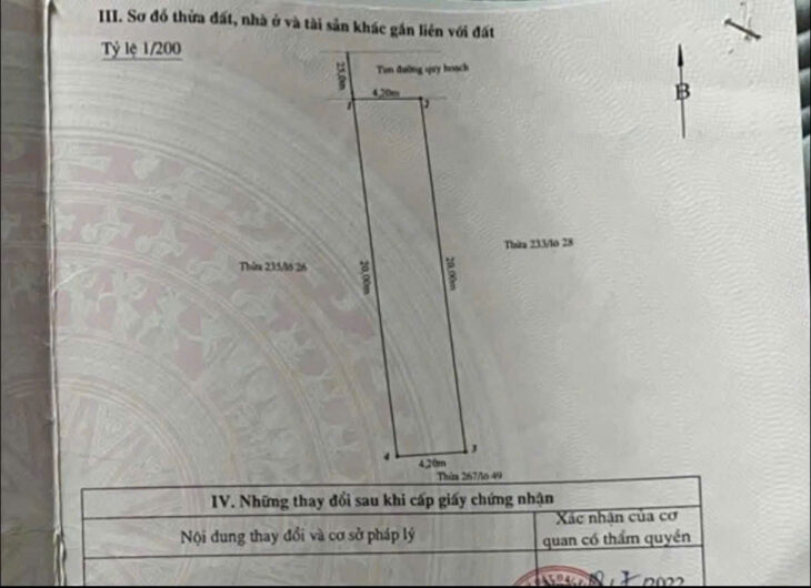 Bán đất mặt đường Bùi Viện – Khu 4 Vĩnh Niệm, 84m, MT 4.2, vỉa hè 5m, GIá 82 tr/m