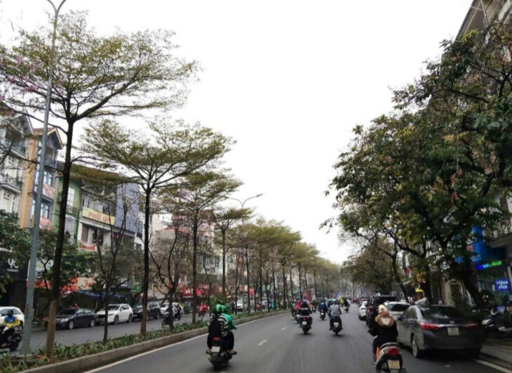 HIẾM!!! BÁN NHÀ NGÕ ĐÀO TẤN 54M 7 TẦNG DT 50 TRIỆU THÁNG GIÁ 21 TỶ 0878168006