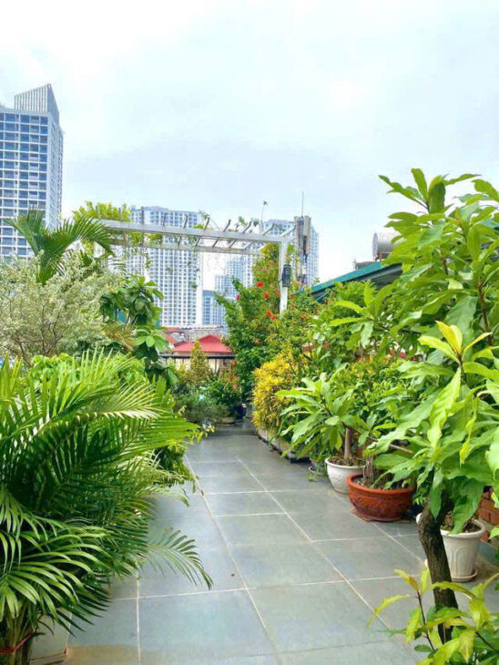 Tây Sơn, Đống Đa 52mx6 tầng Ô tô đỗ cửa, nhà mới đẹp 11.5 tỷ.