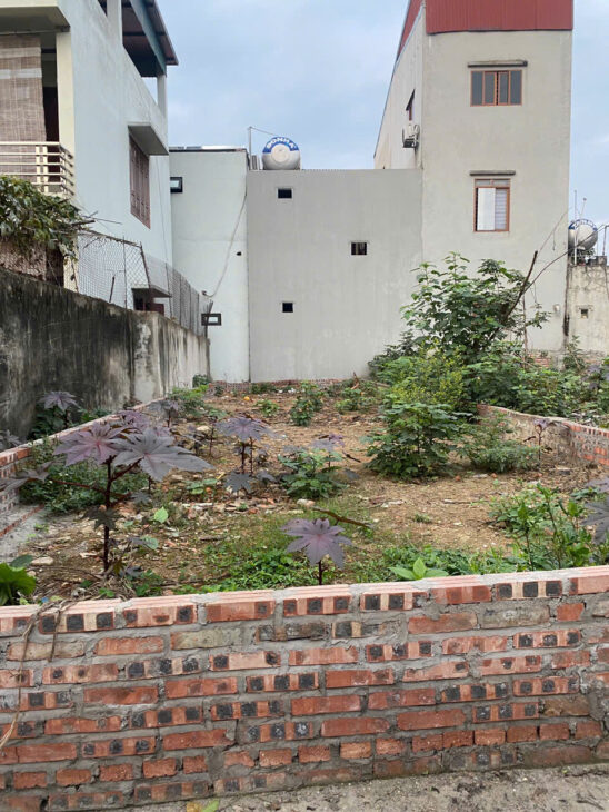 BÁN ĐẤT UY NỖ, ĐÔNG ANH, HÀ NỘI. 73.3M2, MT4.3M FULL THỔ. GIÁ ĐẦU TƯ