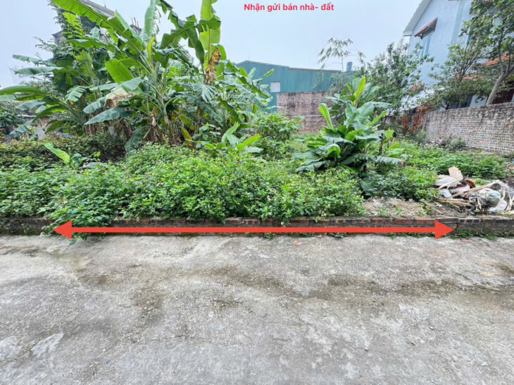 Cơ Hội Đầu Tư Vàng Đất Thổ Cư Thôn Bến Trung, Bắc Hồng, Đông Anh, Hn – Tiềm Năng Sinh Lời Cao.