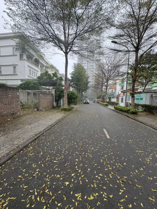 BÁN BIỆT THỰ LK 704M-MT35-480TY-NGOẠI GIAO ĐOÀN-BẮC TỪ LIÊM LH: 0982.769.586