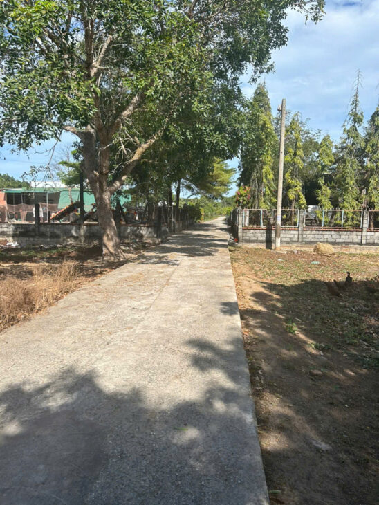 Bán 15m x 34m đất thổ cư Tân Phước – TX LaGi giá rẻ nhất 173tr/m ngang