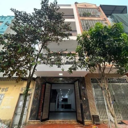 Bùi Huy Bích, phân lô 2 mặt ngõ, gara sân ôtô, vỉa hè, kinh doanh. DT: 60m2x5T MT 4,1m. Giá: 15.8tỷ