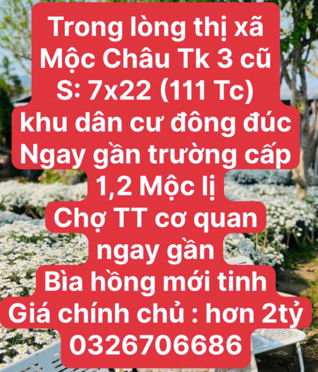 THÍCH HỢP XÂY VILLA MINI TẠI RỪNG THÔNG MỘC CHÂU