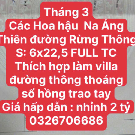 THÍCH HỢP XÂY VILLA MINI TẠI RỪNG THÔNG MỘC CHÂU THÍCH HỢP XÂY VILLA MINI TẠI RỪNG THÔNG MỘC CHÂU