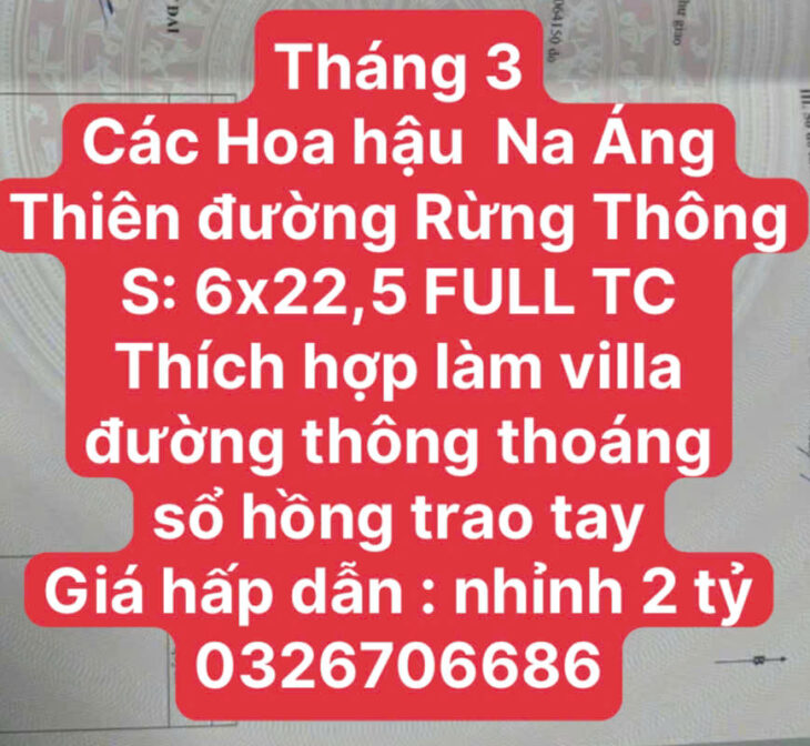 THÍCH HỢP XÂY VILLA MINI TẠI RỪNG THÔNG MỘC CHÂU