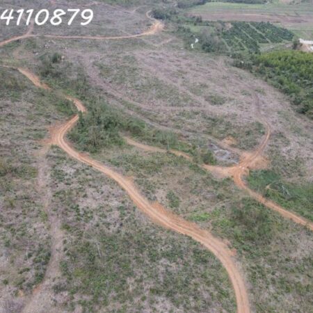 290HA ĐẤT NÔNG LÂM, ĐĂK LĂK, 32 TỶ