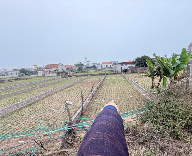 Bán đất tại Giao Phong, Giao Thủy, Nam Định, 80m2, mặt tiền 5m. LH 090,226,5****