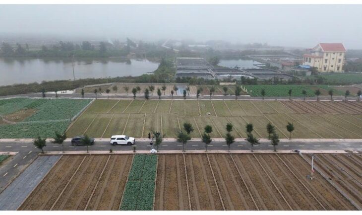 Siêu phẩm cạnh bãi tắm Quất Lâm 100m2 giá rẻ nhất thị trường
