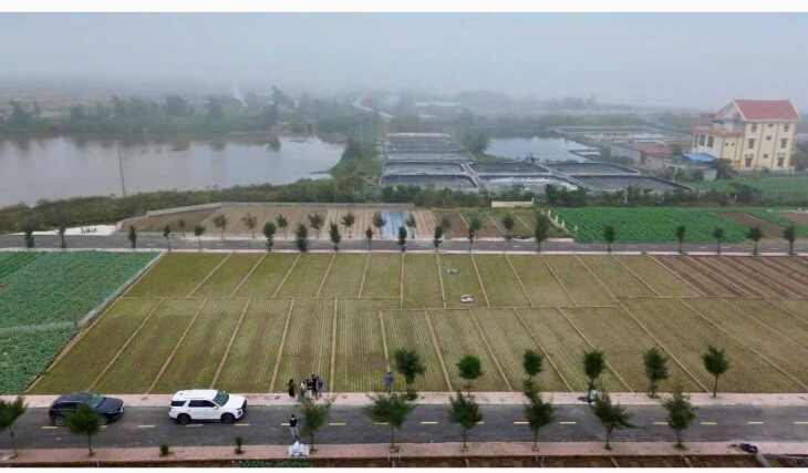 Siêu phẩm cạnh bãi tắm Quất Lâm 100m2 giá rẻ nhất thị trường