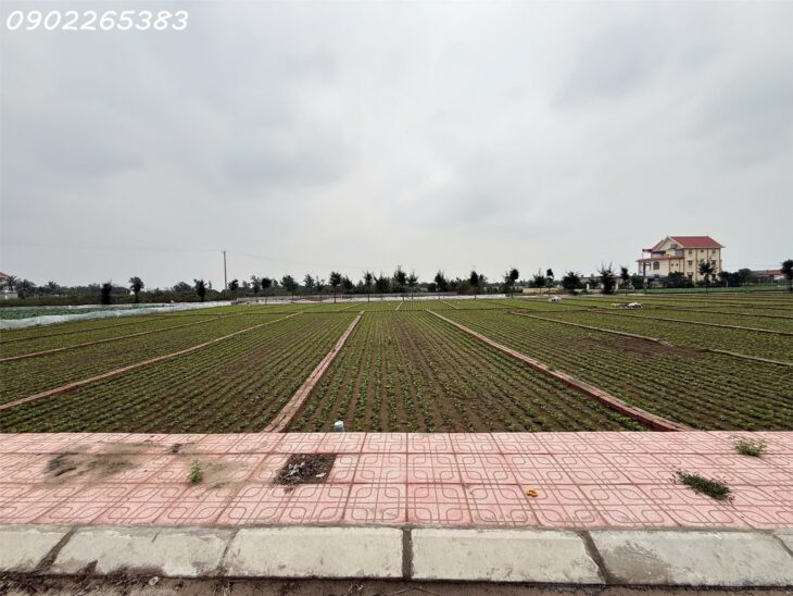 Chủ cần tiền bán nhanh lô đất có tiềm năng sinh lời cực cao đối diện bãi tắm thị trấn Quất Lâm