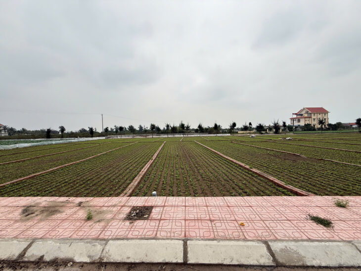 Siêu phẩm cạnh bãi tắm Quất Lâm 100m2 giá rẻ nhất thị trường