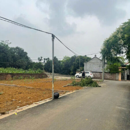 Đất Hoà Lạc, trục chính kinh doanh