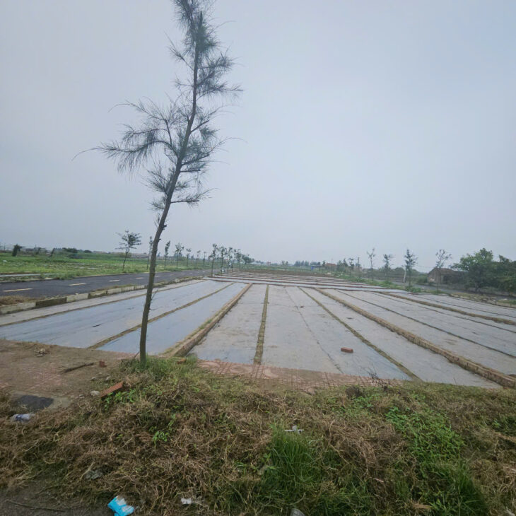 Bán đất nền ven biển, vị trí đắc địa, tiềm năng sinh lời cao, phù hợp đầu tư lâu dài