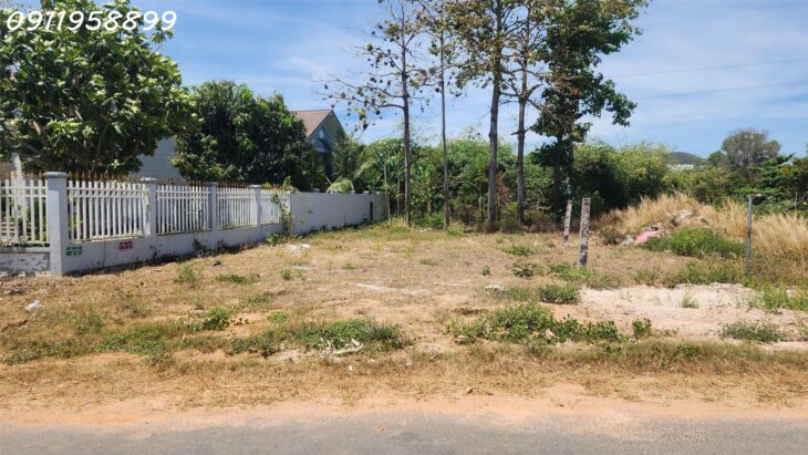 Bán đất thổ cư mặt tiền Đinh Công Tráng, thị xã LaGi gần Biển Tâm Tân giá siêu rẻ