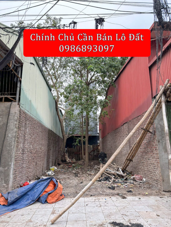 Chính Chủ gửi B.án lô đất đẹp tại Chợ Gỗ Phù Khê – Gần Công Viên, Vị Trí Đẹp, Giá Tốt! Diện tích